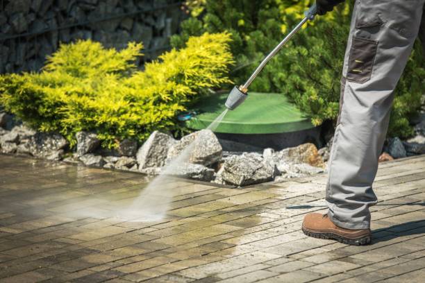 Best Roof Cleaning and Mildew Removal in Muscoda, WI