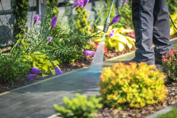 Best Commercial Pressure Washing in Muscoda, WI