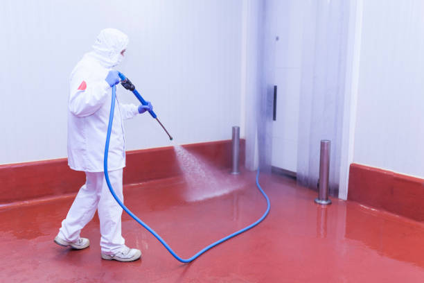 Best Sidewalk and Walkway Pressure Cleaning in Muscoda, WI